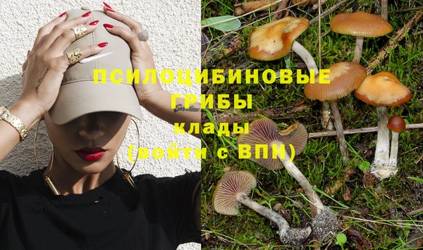мяу мяу кристалл Няндома
