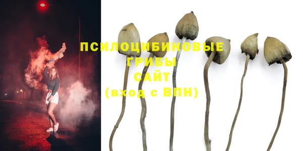 мескалин Нягань