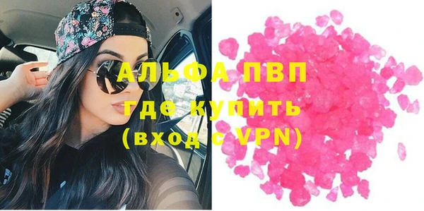 прущие грибы Нязепетровск