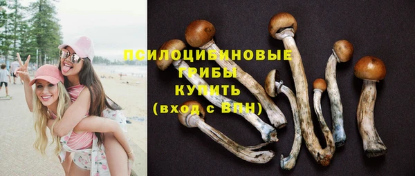 прущие грибы Нязепетровск