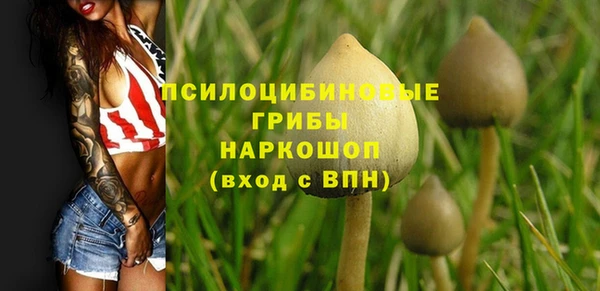 дмт Усолье-Сибирское